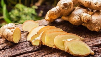 Ai không nên ăn gừng?