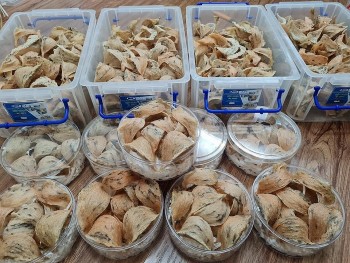 Tin kinh tế - thị trường ngày 22/11/2023: Sản lượng yến Việt Nam có thể đạt 350 - 400 tấn/năm