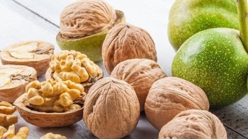 Cây óc chó - Vị thuốc chữa bệnh tim mạch hiệu quả