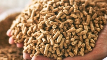 Việt Nam chi 4,27 tỷ USD nhập khẩu thức ăn chăn nuôi gia súc và nguyên liệu trong 10 tháng