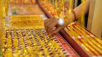 Giá vàng hôm nay 25/11/2023: Vàng trong nước tiếp đà tăng