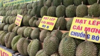 Thị trường sầu riêng “hỗn loạn”, nhiều doanh nghiệp thua lỗ rời sân chơi