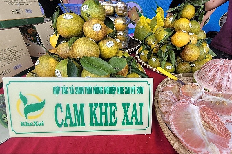 Tham gia lễ hội có hơn 100 gian hàng của 13 huyện, TP, thị xã và các sở, ngành, đơn vị liên quan