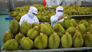 Kỳ vọng xuất khẩu rau quả Việt tiến xa hơn trong năm 2024