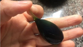 Ăn mật cá trắm, hai người bị suy gan, suy thận