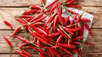 Giá ớt tăng đến 5.000 đồng/kg