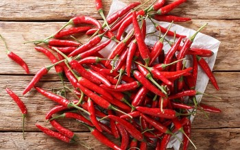 Giá ớt tăng đến 5.000 đồng/kg