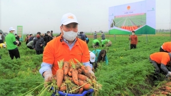 Triển khai kế hoạch sản xuất nông nghiệp năm 2024 các tỉnh phía Bắc