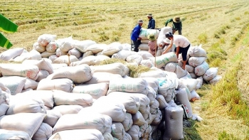 Thành lập Hiệp hội Ngành hàng lúa gạo Việt Nam