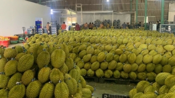 Trong 2 tháng cuối năm, xuất khẩu rau quả có thể thu về 0,8 tỷ USD