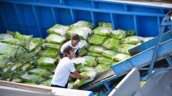 Xuất siêu nông, lâm, thủy sản tăng gần 34%