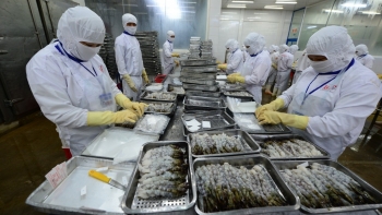 Xuất khẩu thủy sản tiếp đà tăng trưởng dương trong tháng 11