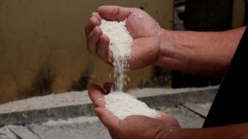 Gạo Việt Nam dồn dập đón tin vui