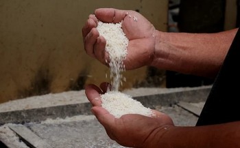 Gạo Việt Nam dồn dập đón tin vui