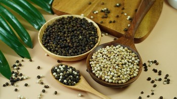 Giá nông sản hôm nay 2/12: Cà phê quay đầu giảm nhẹ, hồ tiêu tiếp đà tăng