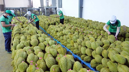 Xuất khẩu nông, lâm, thủy sản thu về gần 48 tỷ USD