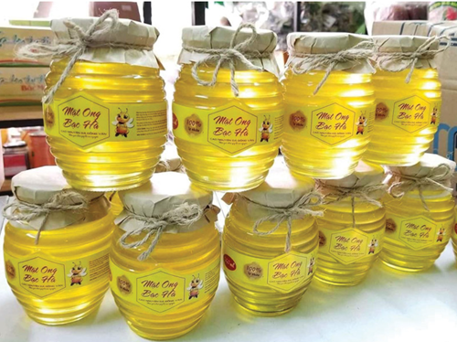 Mật ong bạc hà Hà Giang - Thực phẩm vàng nơi cao nguyên đá