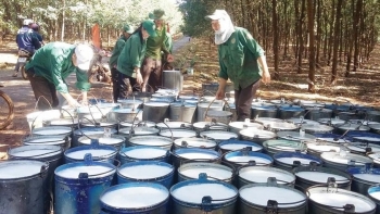 Trung Quốc chi 1,75 triệu USD nhập khẩu cao su Việt Nam