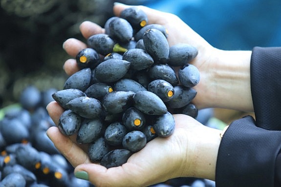 Những thực phẩm giúp giữ giọng nói khỏe mạnh