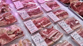 Heo nhập khẩu có là yếu tố tác động lên giá heo hơi trong nước?