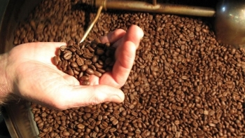 Xuất khẩu cà phê chế biến tăng mạnh