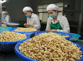 11 tháng, xuất khẩu hạt điều đạt hơn nửa triệu tấn