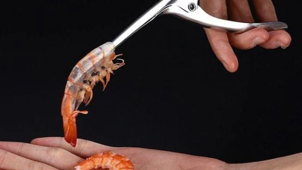 Ăn vỏ tôm có tốt không?