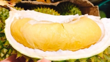 Giá sầu riêng Ri6 đạt đỉnh 130.000 đồng/kg