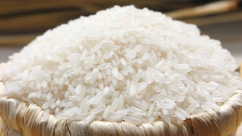 Giá gạo xuất khẩu Việt Nam lập đỉnh mới, đạt 663 USD một tấn