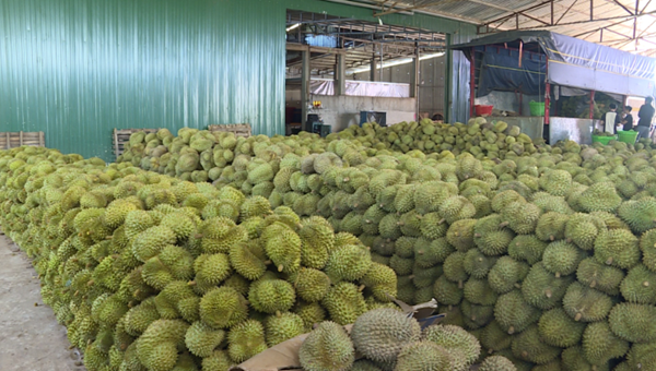 7 mặt hàng đạt kim ngạch xuất khẩu trên 10 tỷ USD 7 mặt hàng đạt kim ngạch xuất khẩu trên 10 tỷ USD