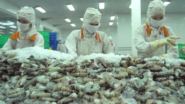 Thị trường Trung Đông chiếm 1,3% tổng xuất khẩu tôm của Việt Nam