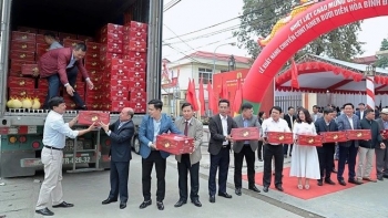 Bưởi Diễn trồng ở Hòa Bình lần đầu xuất khẩu sang Hoa Kỳ