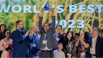 Ban tổ chức khẳng định gạo ST25 đoạt giải nhất cuộc thi “Gạo ngon nhất thế giới”