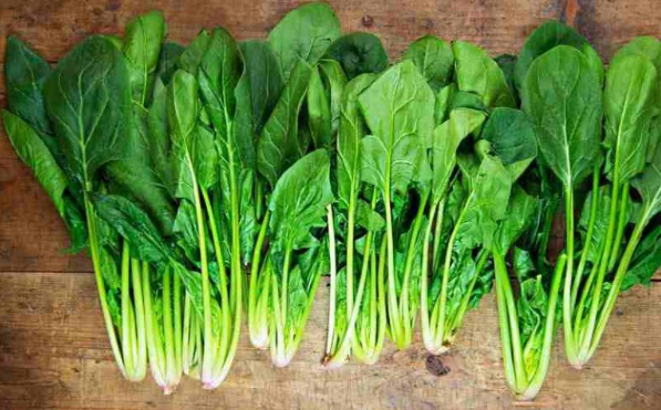 6 loại rau củ mùa đông có dư lượng thuốc trừ sâu thấp 6 loại rau củ mùa đông có dư lượng thuốc trừ sâu thấp