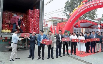 Kim ngạch xuất khẩu Việt Nam – Hoa Kỳ vượt 100 tỷ USD