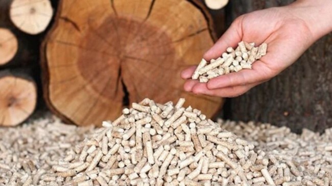 Xuất khẩu viên nén gỗ “hạ sốt”, khó đạt mục tiêu 1 tỷ USD trong năm 2023