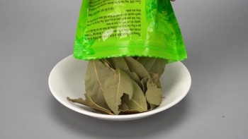 Loại lá gia vị ở Việt Nam ít người biết, sang nước ngoài giá 2 triệu đồng/kg