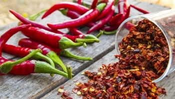 Giá ớt hôm nay tăng cao nhất 5.000 đồng/kg