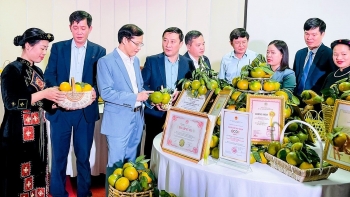 Hội nghị kết nối tiêu thụ cam sành Hàm Yên năm 2023