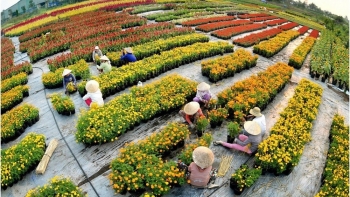 Festival hoa kiểng Sa Đéc - điểm hẹn cho du khách những ngày giao mùa 2024