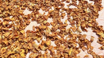 Măng khô làng Díp - lộc trời hóa đặc sản