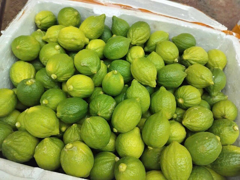 giá chanh tươi Quảng Đông “lao dốc”