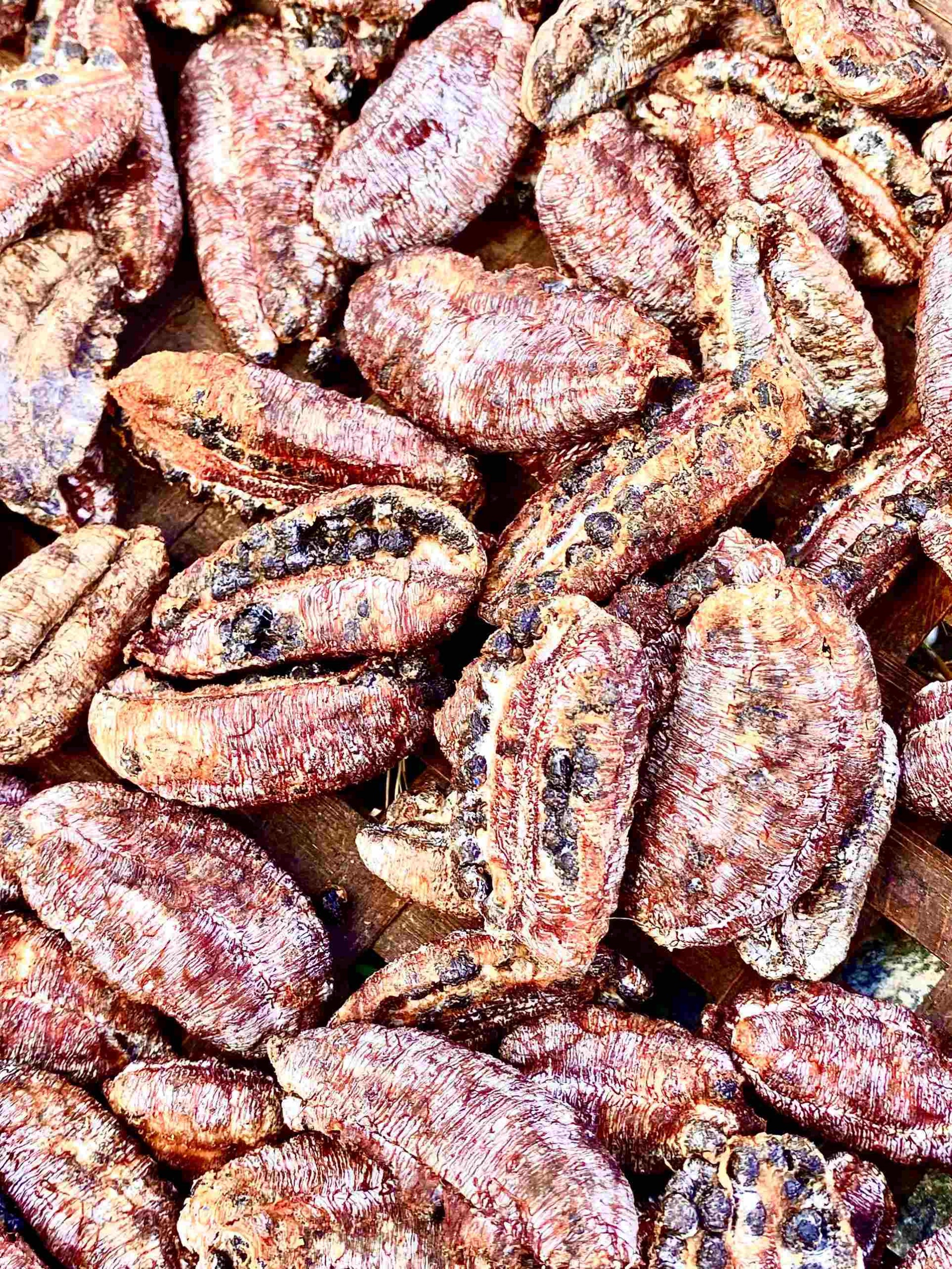 Chuối hột rừng được phơi dưới nắng lớn từ 7 đến 10 ngày.