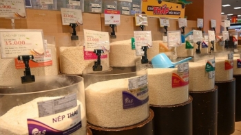 Nhiều doanh nghiệp gạo chấp nhận giá cao để trả nợ hợp đồng