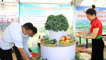 Vân Hồ nâng tầm sản phẩm đặc sản địa phương