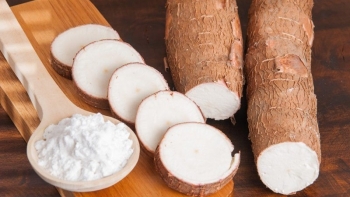 Việt Nam là thị trường cung cấp sắn lát lớn thứ hai cho Trung Quốc