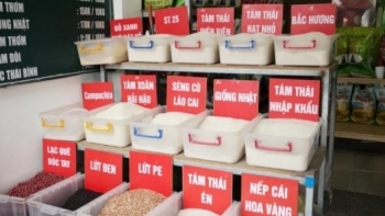 Giá lúa gạo trải qua tuần biến động trái chiều