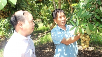 Xây dựng vùng cây ăn quả chất lượng cao