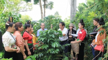 Kỳ 2: Giải bài toán nâng cao năng lực quản lý, tổ chức sản xuất