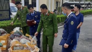 Sơn La: Phát hiện 2 vụ vận chuyển nội tạng động vật không rõ nguồn gốc